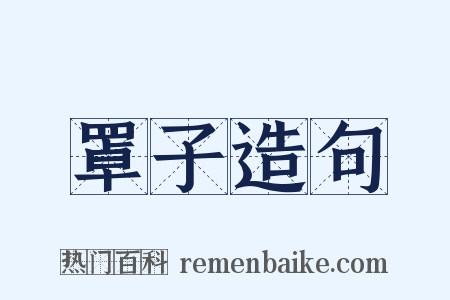 罩子造句是什么意思的图片